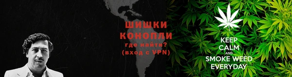 хмурый Михайловск
