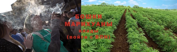 гидра Анива