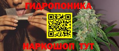 героин Кимры