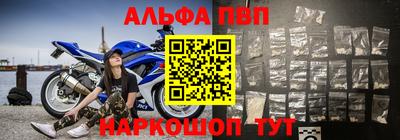 jwh Кингисепп