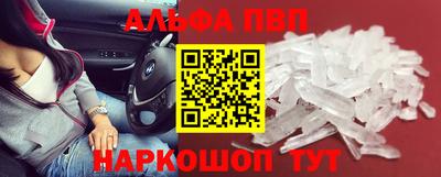 jwh Кингисепп