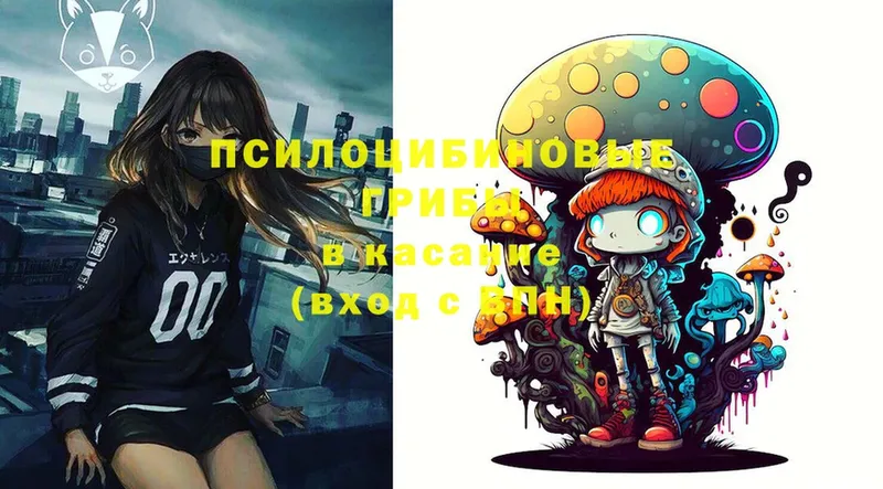 сколько стоит  Карасук  Псилоцибиновые грибы Magic Shrooms 