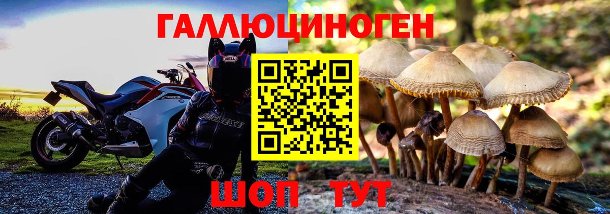 Псилоцибиновые грибы ЛСД Карасук