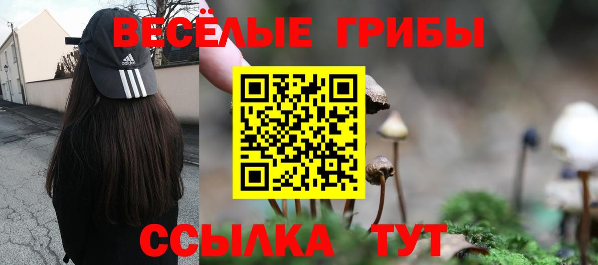 Псилоцибиновые грибы ЛСД  Псилоцибиновые грибы мицелий  Вход с VPN  Карасук 